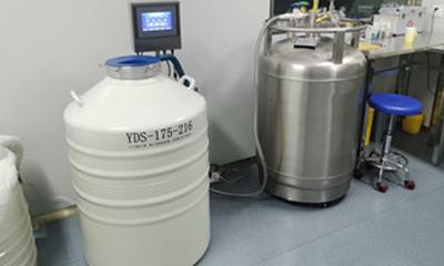 定(ding)制小型氣相液氮罐